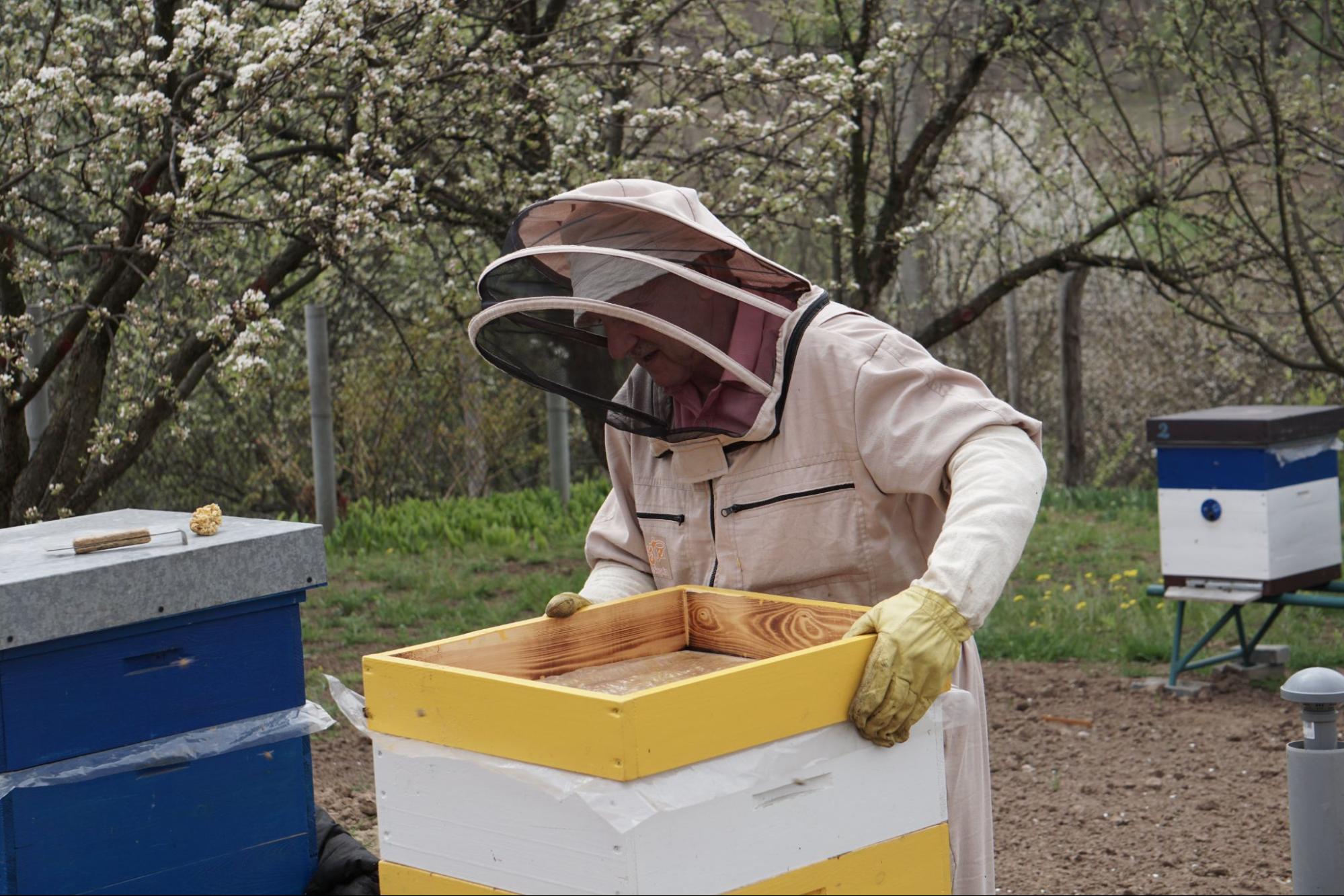 Beekeeping Equipments