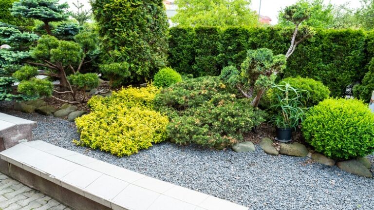 Seasonal Planting Tips: Best Trees & Shrubs for Nashville Yards